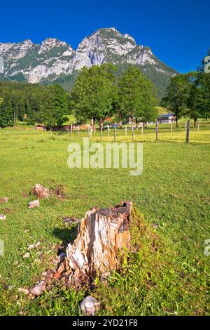 Vallée de Ramsau dans la région alpine de Berchtesgaden vue sur le paysage Banque D'Images