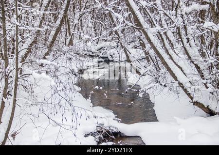 Une petite rivière en hiver. Paysage hivernal. Eau dans les rivières. Arbres d'hiver. Neige. Banque D'Images