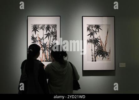 Chengdu, Chine.24 octobre 2024. L’exposition de la rétrospective de l’art et des documents de Zhang Caiqin attire de nombreux visiteurs au Musée d’art de Chengdu à Chengdu, capitale de la province du Sichuan, dans le sud-ouest de la Chine, le 24 octobre 2024. Zhang est un militant de l'éducation moderne et un peintre chinois renommé. Crédit : Wang Lei/China News Service/Alamy Live News Banque D'Images