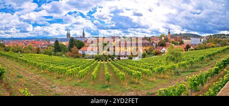 Bamberg. Ville de Bamberg vue panoramique à partir de vignobles Michaelsberg, Haute-Franconie, région d'Allemagne Bavière Banque D'Images