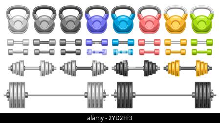 Vector Dumbbell Set, collection d'illustrations découpées divers haltères colorés et barbells monochromes pour salle de fitness, groupe de metall fitness Illustration de Vecteur