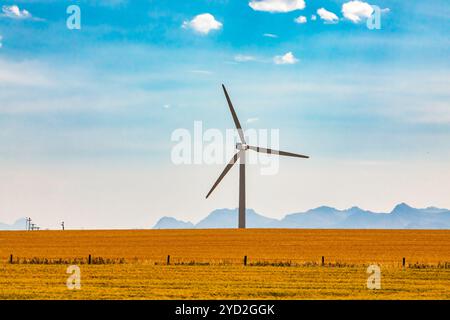 Une éolienne isolée avec trois grandes pales est vue entourée de champs de culture dorés dans les régions rurales de la Saskatchewan, au Canada. Sous un ciel bleu avec espace de copie Banque D'Images