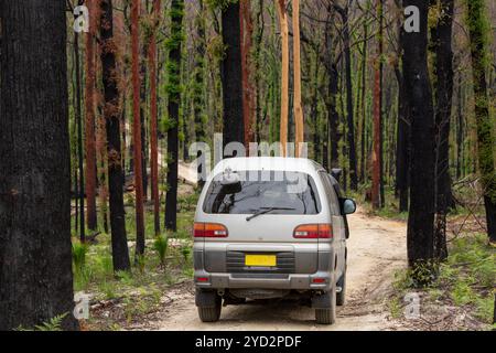 Conduire les routes secondaires de Mogo à travers la brousse brûlée Banque D'Images