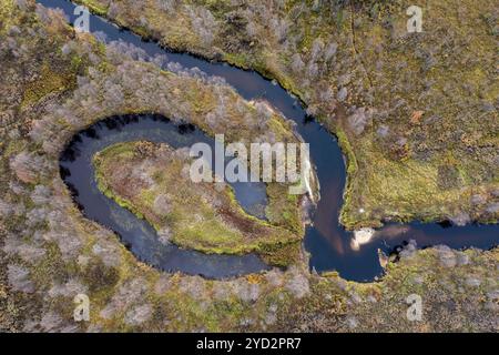 Coude de rivière, méandre, tir de drone, vue aérienne, zone humide, BOG en automne, Laponie, Finlande, Europe Banque D'Images