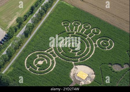 Photo aérienne, labyrinthe de maïs, maïs, agriculture, empreinte, Schleswig-Holstein Banque D'Images