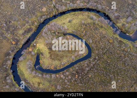 Coude de rivière, méandre, tir de drone, vue aérienne, zone humide, BOG en automne, Laponie, Finlande, Europe Banque D'Images