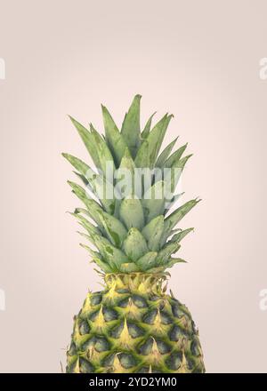 Une ananas biologique frais sur FOND rose pastel Banque D'Images