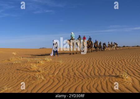 Merzouga, Maroc, 9 mars 2024 : guide berbère menant un groupe de touristes lors d'une randonnée dromadaire dans le désert du Sahara au Maroc, en Afrique Banque D'Images