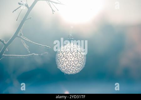 Boule de Noël sur l'arbre à l'extérieur, photo créative, nouvel an, noël. Mise au point sélective Banque D'Images