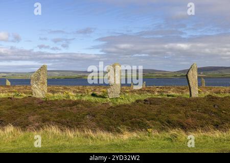 Anneau de Brodgar, cercle de pierre et douves, monument néolithique, site du patrimoine mondial de l'UNESCO, continent, Orcades, Écosse, Grande-Bretagne Banque D'Images