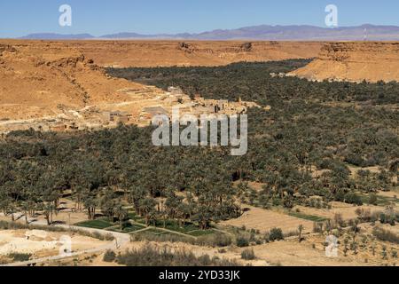 Une vue paysagère sur la vallée du Ziz et la région du Tafilalet au centre du Maroc Banque D'Images