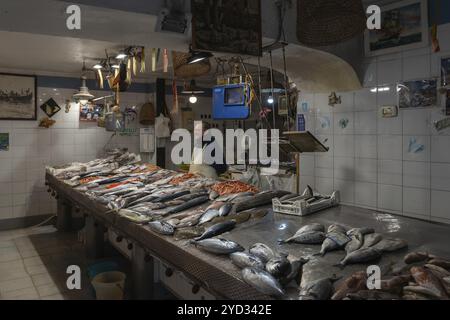 Syracuse, Italie, 28 décembre 2023 : poissonnier en attente de clients au marché d'Isola di Ortigia dans le centre-ville de Syracuse, en Europe Banque D'Images