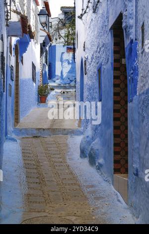 Chefchaouen, Maroc, 2 mars 2024 : une ruelle étroite traverse le centre historique de la ville bleue de Chefchaouen, dans le nord du Maroc, en Afrique Banque D'Images