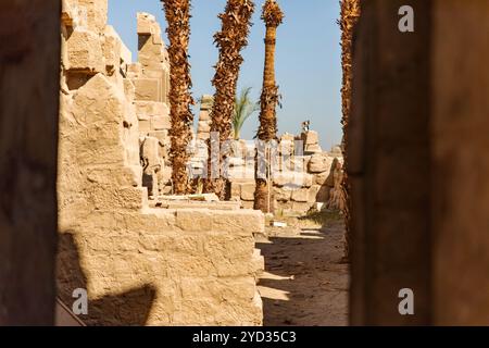 Louxor, Égypte ; 16 janvier 2024 : explorez les ruines colossales du temple de Karnak, dédié au Dieu du soleil Amon-Rê. Découvrez les sculptures complexes, towe Banque D'Images