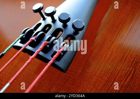 Portrait de chaînes musicales et d'un cordier de violoncelle avec copie Espace Banque D'Images