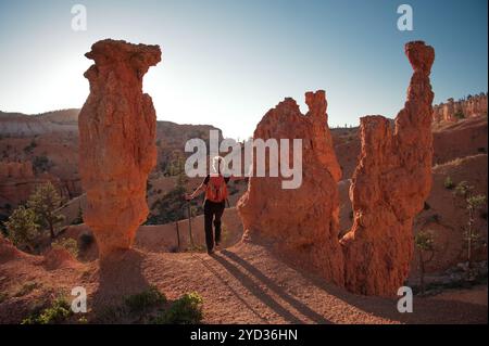 Vue arrière de la femme mature debout dans Bryce Canyon au lever du soleil Banque D'Images