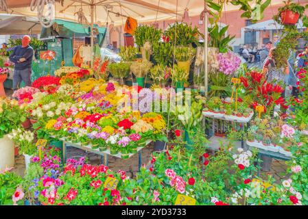 ROME, ITALIE - 09 mai, 2017 : place Campo de Fiori, Rome. Campo dei Fiori est une place rectangulaire dans le centre de Rome, à mi-chemin entre la Piazza Navona Banque D'Images