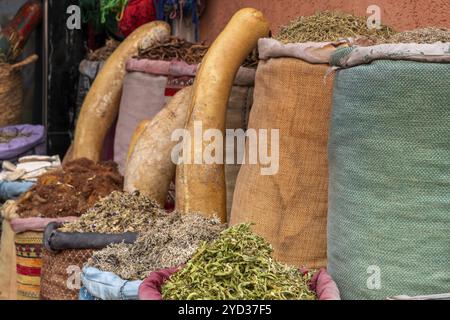 Une vue détaillée d'un étal de marché à Marrakech vendant des herbes, des fleurs et des citrouilles décoratives Banque D'Images