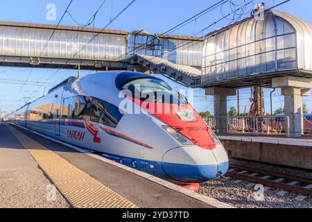 Arrêt Peregrine Falcon . Train à grande vitesse. La route Moscou - Saint-Pétersbourg. le transport de passagers. Transport. Russe R Banque D'Images