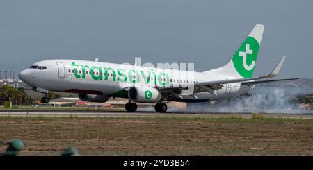 Compagnies aériennes low cost. Boeing 737 de la compagnie aérienne Transavia à l'aéroport El Altet. Alicante. Banque D'Images