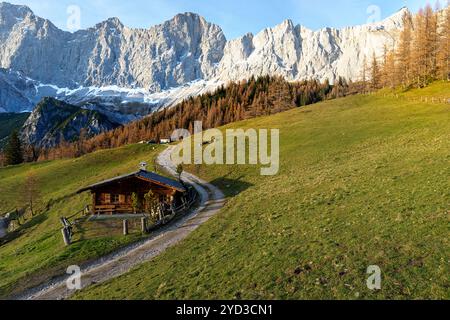 Cabane de montagne traditionnelle sur le pâturage alpin Neustattalm, prairie, entouré de forêt dans le feuillage d'automne et la chaîne de montagnes dachstein, autriche Banque D'Images