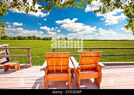Détendez-vous des chaises longues dans un paysage agricole. Champ de blé vert sous la vue du ciel bleu Banque D'Images