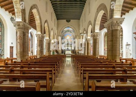 Innenraum der Kathedrale von Nardò oder Kathedralbasilika Mariä Himmelfahrt in Nardo, Apulien, Italien, Europa | Cathédrale de Nardo ou Basilique de Cattedra Banque D'Images