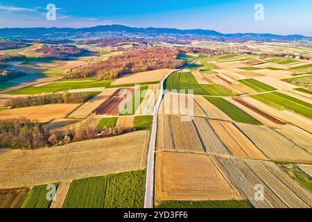 Paysage agricole au début du printemps vue aérienne Banque D'Images