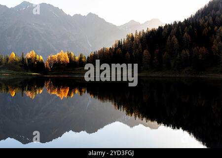 Beau reflet dans une eau au lac Duisitzkarsee près de Schladming, couleurs d'automne des arbres et mélèzes dorés qui l'entourent, Autriche Banque D'Images