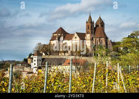 European City, Breisach am Rhein, Landmark, équipé Stephansmünster Banque D'Images
