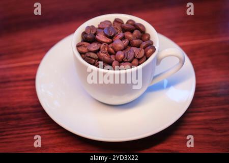 Espressotasse gefüllt mit Kaffeebohnen *** tasse à espresso remplie de grains de café Nordrhein-Westfalen Deutschland, Allemagne GMS17921 Banque D'Images