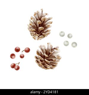 Ensemble de pommes de pin brunes avec des baies rouges de sharrow, petites baies blanches de gui comme symbole des célébrations de Noël, traditions, décorations à la maison Banque D'Images