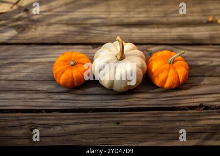 trois mini citrouilles en ligne contre une surface en bois Banque D'Images