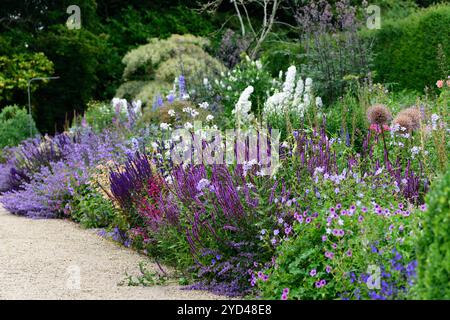 frontière vivace, juin dans le jardin, vivaces mixtes, salvia, géranium, delphinium, salvias, schéma de plantation mixte, frontière vivace mixte, vivaces, rm flo Banque D'Images