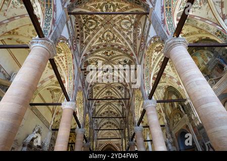 Intérieur de l'église Sant`Anastasia à Vérone, Italie Banque D'Images