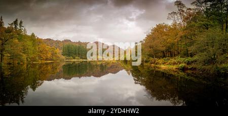 Yew Tree Tarn aux couleurs d'automne Banque D'Images