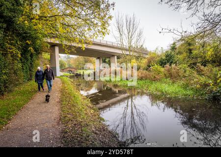 Couple âgé marchant le long du canal Chesterfield avec leur petit chien noir. Banque D'Images