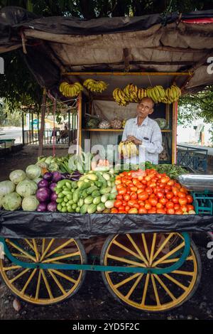 Octobre 25th2024 Dehradun City Inde. Un vendeur âgé vendant des légumes et des fruits frais sur le bord d'une route à Uttarakhand, en Inde. Marché indien traditionnel Banque D'Images