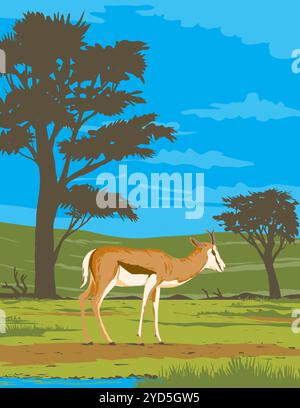 Affiche Art déco ou WPA d'un springbok ou springbuck Antidorcas marsupialis dans le parc transfrontalier de Kgalagadi situé entre l'Afrique du Sud et le Botswana, Banque D'Images