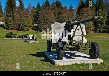 Canons soviétiques et allemands, Musée d'histoire militaire en plein air à Svidnik, région de Prešov, Slovaquie Banque D'Images