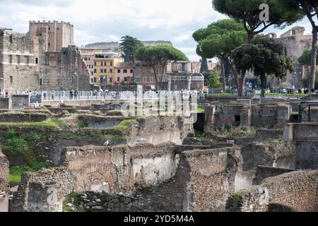 Ruines romaines et vestiges archéologiques sur le Mont Palatin est l'une des sept célèbres collines de Rome, en Italie Banque D'Images