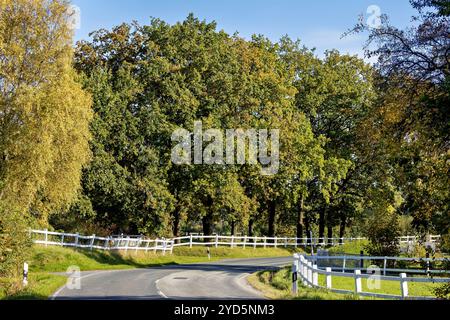 Le paysage du Ringgau à Altefeld en Hesse Banque D'Images