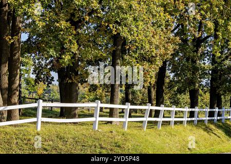 Le paysage du Ringgau à Altefeld en Hesse Banque D'Images