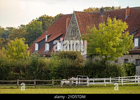 Le village et haras d'Altefeld en Hesse Banque D'Images