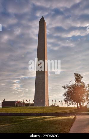 Une vue imprenable sur le Washington Monument avec un ciel spectaculaire, illuminé par la lueur chaude du coucher du soleil, entouré d'arbres et de mâts de drapeau, avec lentille Banque D'Images