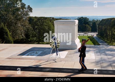 Une garde d'honneur solennelle patrouille sur la tombe du soldat inconnu, symbolisant le respect et le souvenir des soldats tombés au combat. Le mémorial est entouré par Banque D'Images