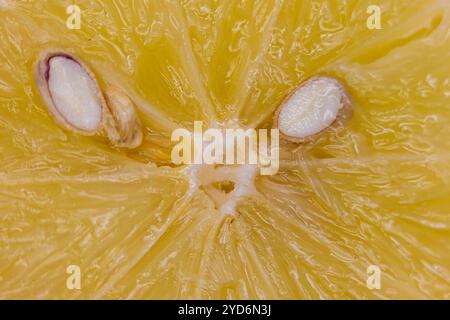 Cette photo macro capture une vue rapprochée d'une tranche de citron, mettant en évidence la pulpe juteuse et texturée et les segments translucides. Banque D'Images