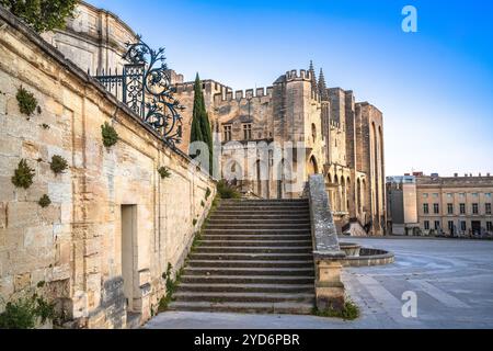 Vue sur la place antique d'Avignon et le palais des Papes Banque D'Images