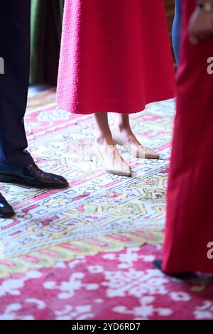 Oviedo, Asturies, Espagne. 25 octobre 2024. La reine Letizia d'Espagne assiste à l'audience avec les gagnants des médailles Asturies 2024 à l'hôtel Reconquista le 25 octobre 2024 à Oviedo, Espagne (crédit image : © Jack Abuin/ZUMA Press Wire) USAGE ÉDITORIAL SEULEMENT! Non destiné à UN USAGE commercial ! Banque D'Images