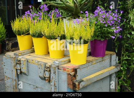 À l'extérieur de la boutique de fleurs parisienne. Banque D'Images